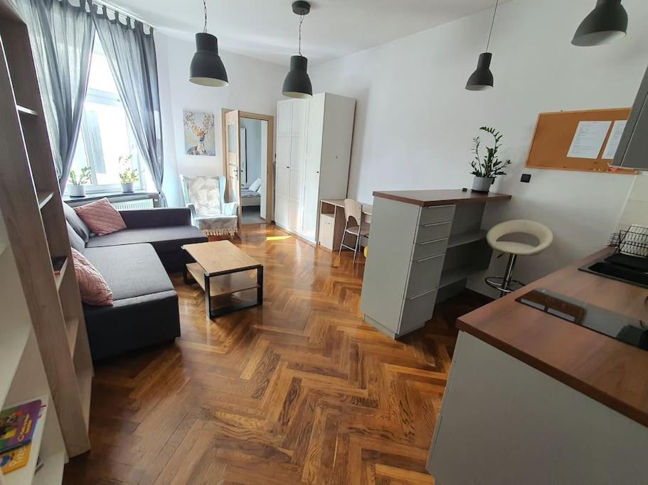 Apartament Przy Szkole Filmowej, Darmowy Parking Лодзь Екстер'єр фото
