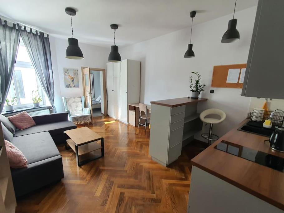 Apartament Przy Szkole Filmowej, Darmowy Parking Лодзь Екстер'єр фото